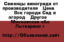 Саженцы винограда от производителя › Цена ­ 800 - Все города Сад и огород » Другое   . Московская обл.,Лыткарино г.